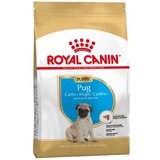 Royal Canin hrana za pse pug junior 1.5kg Cene
