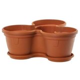  Saksija Trio Gerber sa podmetačem Cene