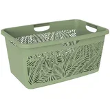 Košara za čisto rublje JUNGLE 47 L – zelena