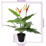  Umjetna Strelitzia Biljka Zelena 65 x 13 x 55 cm | shoptok.hr