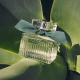 Chloé Rose Naturelle Intense parfemska voda 30 ml za žene | shoptok.hr