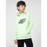 4f Boys' Cotton Sweatshirt | Shoptok.si