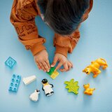 Lego DUPLO® - Obitelji divljih životinja: pingvini i lavovi (10442) | shoptok.hr
