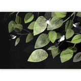  Foto tapeta - Bird Holidays - Third Variant 98x70 | shoptok.hr