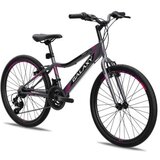 Galaxy Bicikl festina 24"/18 siva/crna/roza mat ( 650243 ) | Eponuda.com