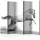  Paravan u 5 dijelova - White gallop II [Room Dividers] 225x172 Cijene