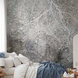  Foto tapeta - Clear Branching 300x210 | shoptok.hr