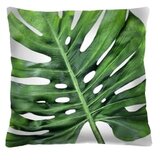 Bertoni Home unisex's square pillow galapagos day Cene