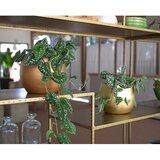 Artevasi Keramička ručno rađena tegla za cvijeće ø 22 cm Hera – | shoptok.hr