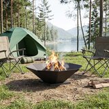  Kamin Crna 50 x 50 x 15,5 cm Čelik | shoptok.hr
