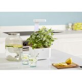  Botaneo EYLO Unutarnji Vrt | shoptok.hr