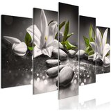  Slika - Lilies and Stones (5 Parts) Wide Grey 200x100 Cijene