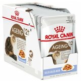 Royal Canin cat ageing +12 in jelly 12 x 85 g cene