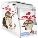 Royal Canin cat ageing +12 in jelly 12 x 85 g cene