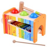  šareni glazbeni set 2u1 | shoptok.hr