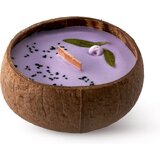 Tropicandle Blueberry & Vanilla mirisna svijeća s drvenim fitiljem 350 ml | shoptok.hr