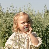 Bibs tolažilna duda - silikon De lux z okroglim cucljem 0-36 m 2/1 haze/blossom | Shoptok.si