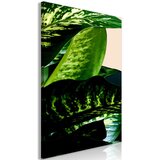  Slika - Dieffenbachia (1 Part) Vertical 80x120 | shoptok.hr