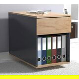 MID.YOU Predalnik Na Kolescih Dalosa, Hrast | Shoptok.si