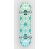 Cartel Skateboards Lotus 7.8" Complete uni | Shoptok.si