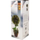 Home Dekorativna razsvetljava, pušpan - GPL 25 | Shoptok.si