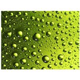  Tapeta - Water drops on the bottle of beer 350x270 | shoptok.hr