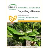 Saflax Darjeeling - banana Cene
