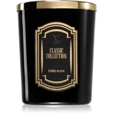 Vila Hermanos Classic Collection Citrus Blossom dišeča sveča 75 g