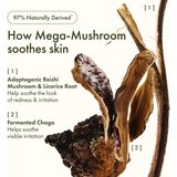 Origins Dr. Andrew Weil for ™ Mega-Mushroom Relief & Resilience Soothing Treatment Lotion mehčalna in pomirjajoča voda za obraz 200 ml | Shoptok.si