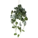 Umetna Rastlina Splitphilodendron Ii -Paz-