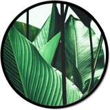 Pintdecor Zidni ukras Grandi foglie | shoptok.hr