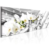  Slika - Twisted Orchids 120x40 | shoptok.hr