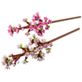 Lego Cherry Blossoms številka 40725 | Shoptok.si