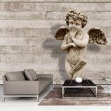  Tapeta - Angelic Face 400x280 Cijene
