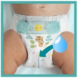 Pampers Active Baby - Mjesečno Pakiranje Pelena | shoptok.hr