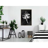  Poster - White Plant 20x30 | shoptok.hr