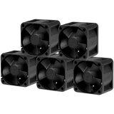 Arctic Cooling 40mm Arctic S4028-6K Server Lüfter | Value Pack 5 Stück" | shoptok.hr