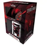 International Spider Man: Miles Morales (Web Glitch) Gift Set ( 051948 )