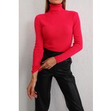 BİKELİFE Women's Pink Lycra Flexible Neck Knitwear Sweater Cene