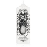 CORETERNO Visionary Octopus sveča 7x20 cm | Shoptok.si