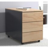 MID.YOU PREDALNIK NA KOLESCIH antracit, medeni hrast | Shoptok.si