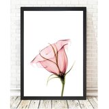 Tablo Center Slika Tableau Center Bloom, 24 x 29 cm Cene