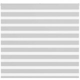 vidaXL zebra senčilo svetlo sivo 155x100 cm tkanina širina 150,9 cm | Shoptok.si
