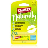 Carmex Pear vlažilni balzam za ustnice v paličici 4.25 g Cene