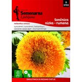 Semenarna Ljubljana seme za cveće - suncokret niski žuti - helianthus annuus | ePonuda.com
