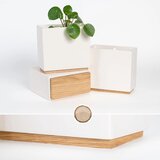 KAZAI stenski lonček za rože | Shoptok.si