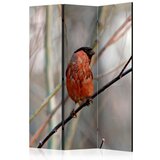  Paravan u 3 dijela - Bullfinch in the forest [Room Dividers] 135x172 Cijene