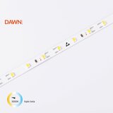 Dawn hl 2835-60-WW 24V led traka | Eponuda.com