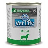 Farmina vet life dog renal 300 g Cene