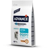 Advance Hrana za mačke Kitten, Piletina, 10 kg Cene